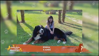 La domanda della piccola Emma: "Perché il mio cane ulula?"